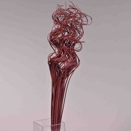 Curly Ting Ting essiccato - 150 G / Rosso