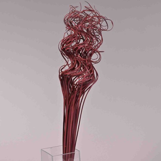 Curly Ting Ting essiccato - 150 G / Rosso