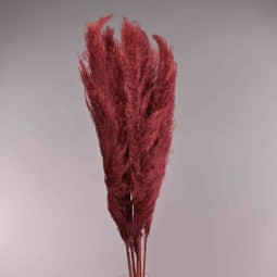 Pampas super 5 pezzi - 110 Cm / Bordeaux