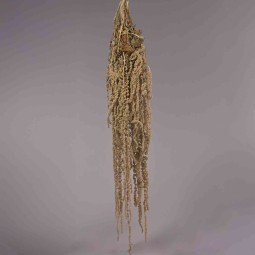 Amaranto stabilizzato 150 G / Naturale