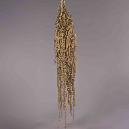 Amaranto stabilizzato 150 G / Naturale