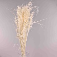 Avena selvatica - 150 G / Bianco