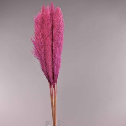 Pampas super 5 pezzi - 110 Cm / Ciclamino