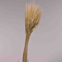 Grano baffo bianco - 200 G / Oro