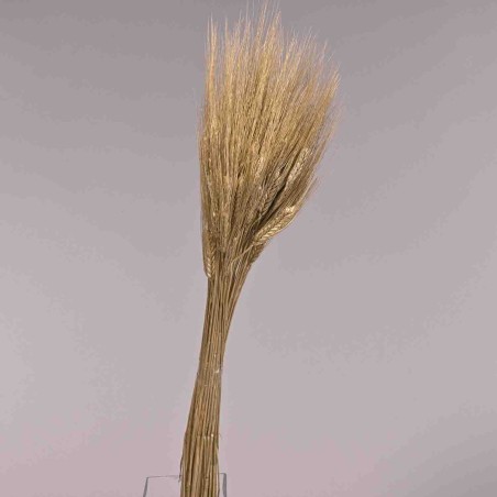 Grano baffo bianco - 200 G / Oro