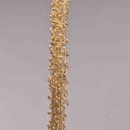 Scrofularia essiccata in mazzo - Oro