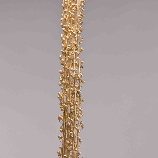 Scrofularia essiccata in mazzo - Oro