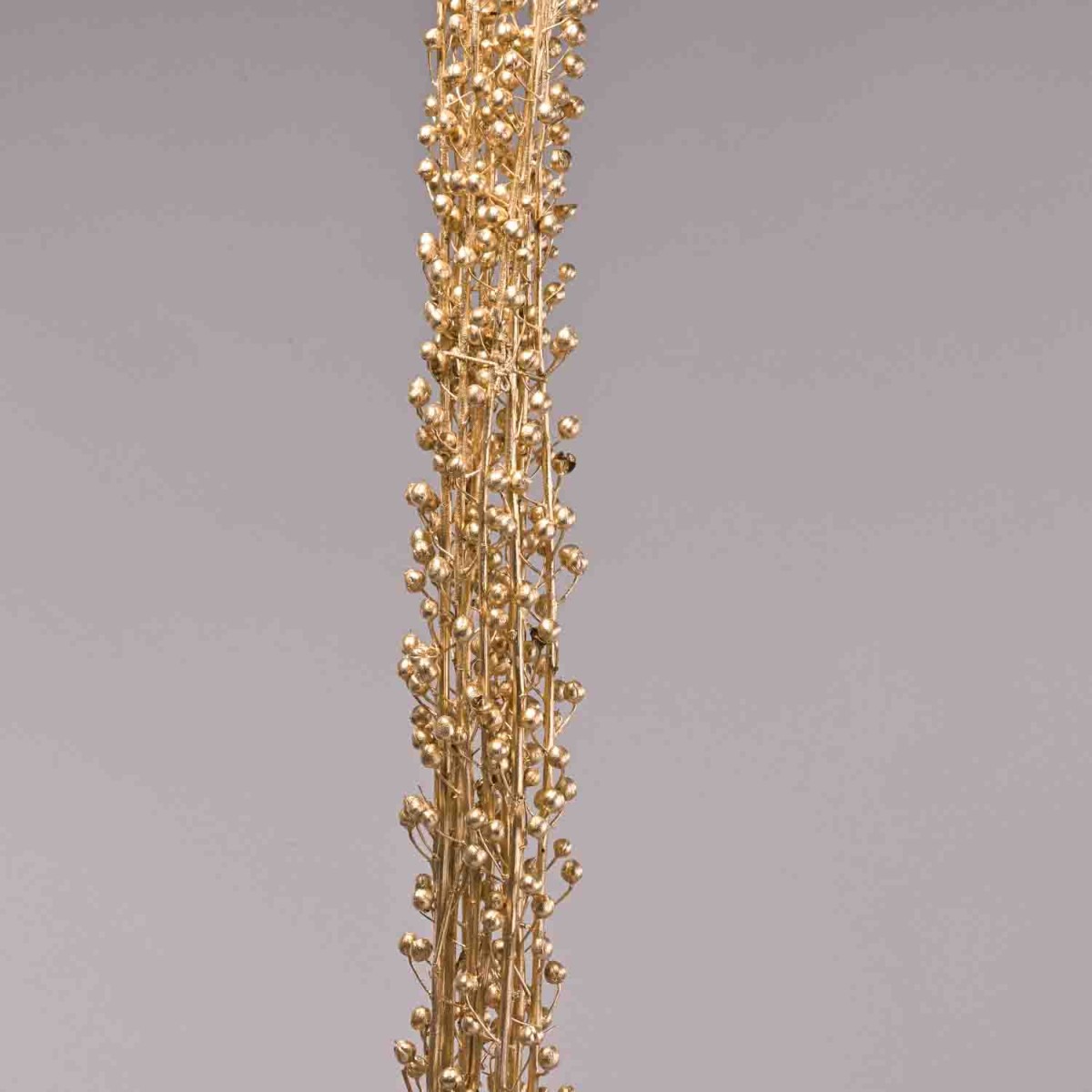 Scrofularia essiccata in mazzo - Oro