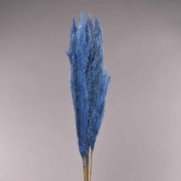 Pampas super 5 pezzi - 110 Cm / Zaffiro