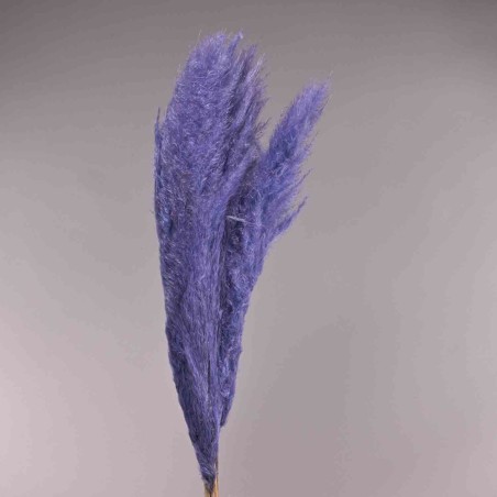 Pampas super 5 pezzi - 110 Cm / Lavanda