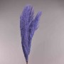 Pampas super 5 pezzi - 110 Cm / Lavanda