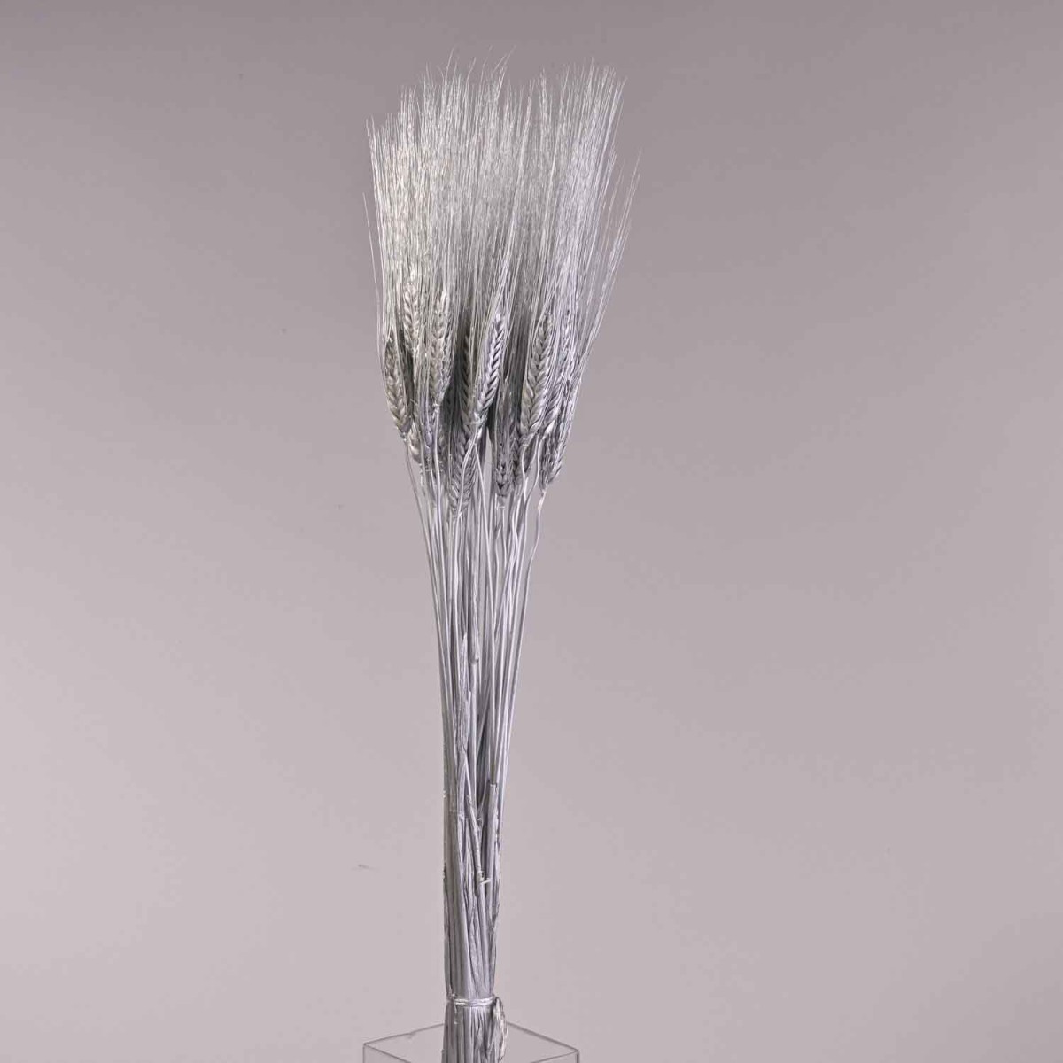 Grano baffo bianco - 200 G / Argento