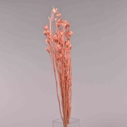 Sorbaria in ramo - 68 Cm / Pesca