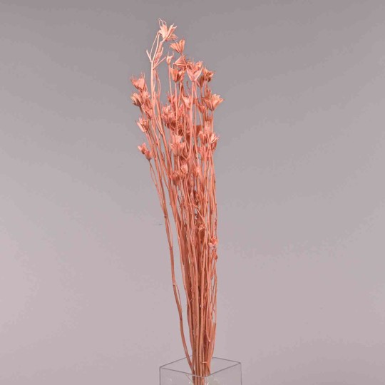 Sorbaria in ramo - 68 Cm / Pesca