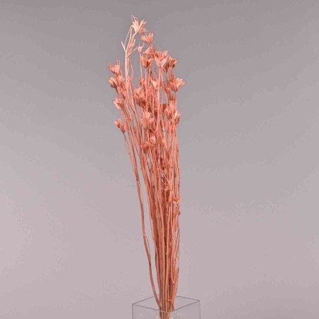 Sorbaria in ramo - 68 Cm / Pesca