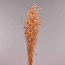 Erba essiccata in mazzo - 65 Cm / Pesca