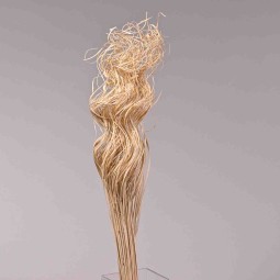 Curly Ting Ting essiccato - 200 G / Bianco