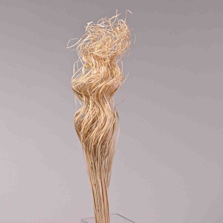 Curly Ting Ting essiccato - 200 G / Bianco