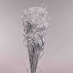 Curly Ting Ting essiccato - 200 G / Argento