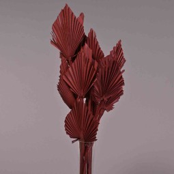 Palma in stelo 10 Pezzi - Rosso