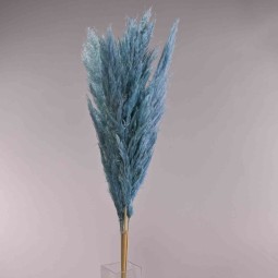 Pampas super 5 pezzi - 110 Cm / Celeste