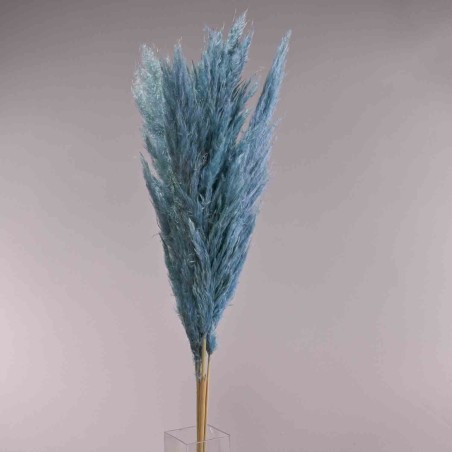 Pampas super 5 pezzi - 110 Cm / Celeste