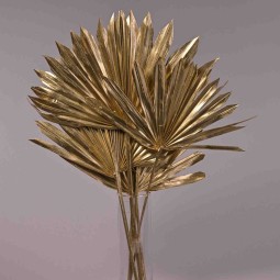 Sun spear essiccata 6 pezzi - Oro