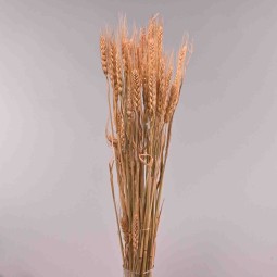 Grano essiccato - 68 Cm / Naturale