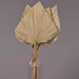 Palma in stelo 10 Pezzi - Naturale