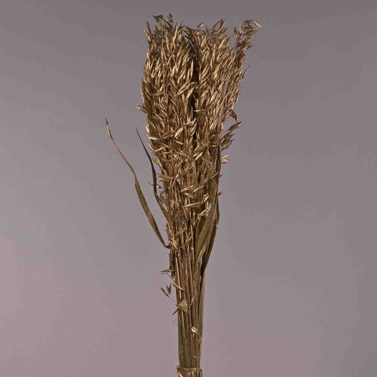 Avena in mazzo - 60 Cm / Oro