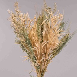 Bouquet di fiori essiccati - 38x14x3,5 Cm / Naturale