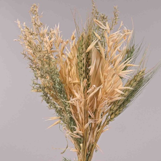 Bouquet di fiori essiccati - 38x14x3,5 Cm / Naturale