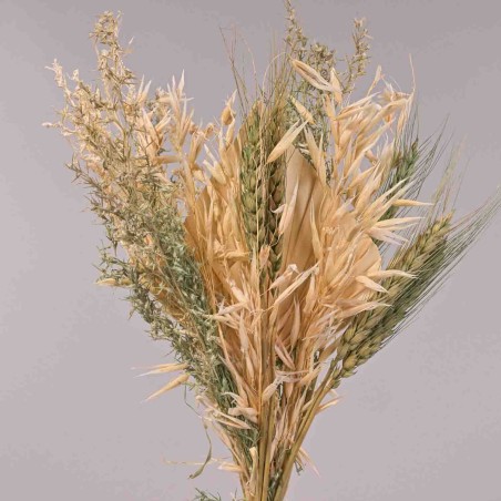 Bouquet di fiori essiccati - 38x14x3,5 Cm / Naturale