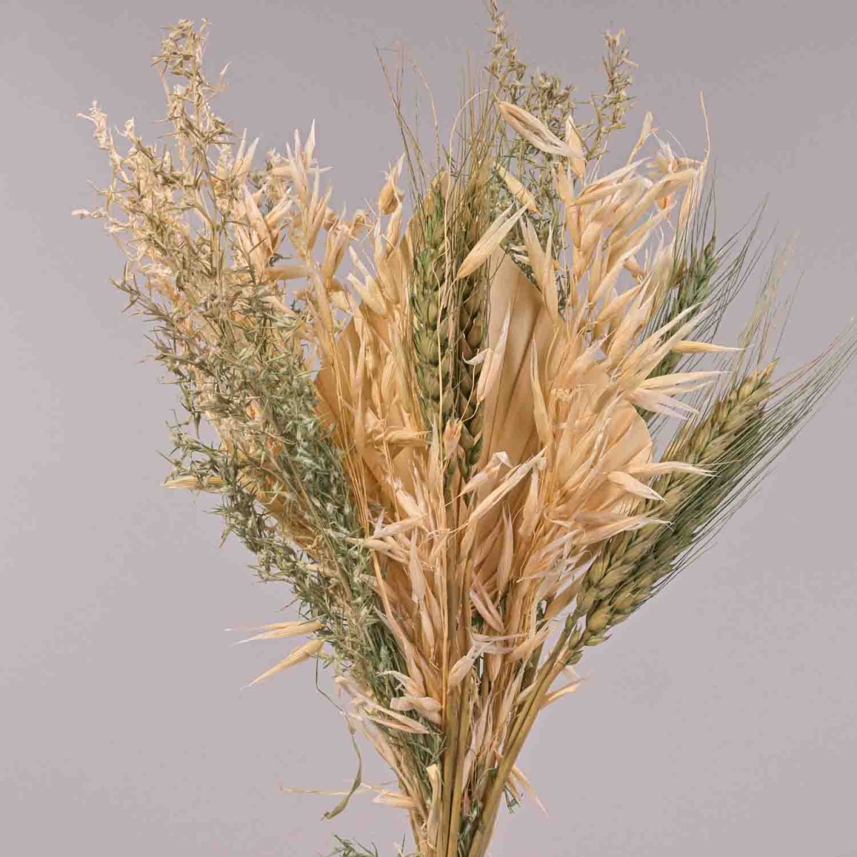 Bouquet di fiori essiccati - 38x14x3,5 Cm / Naturale