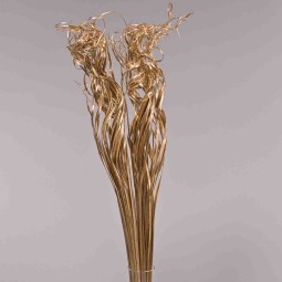 Curly Ting Ting essiccato - 200 G / Oro