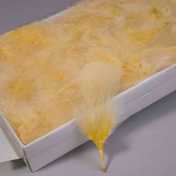 Piume in scatola - Crema