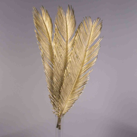 Cycas in foglie essiccate 3 Pezzi - Oro