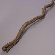 Cipo Rosca essiccato in ramo - Varie dimensioni e colori