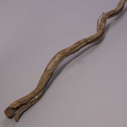 Cipo Rosca essiccato in ramo - Varie dimensioni e colori