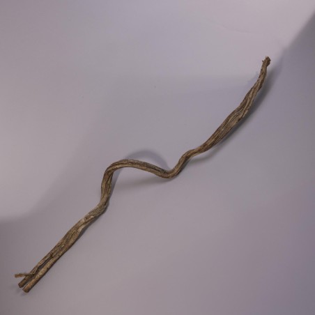 Cipo Rosca in ramo - 100 Cm / Naturale