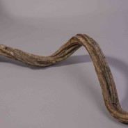 Cipo Rosca in ramo - 100 Cm / Naturale