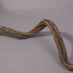 Cipo Rosca in ramo - 100 Cm / Naturale