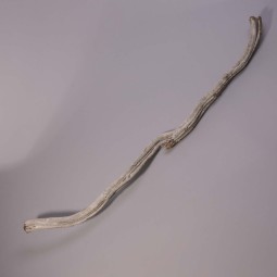 Cipo Rosca in ramo - 100 Cm / Bianco