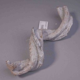 Ramo essiccato - 25 Cm / Bianco