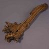 Radice di Gelso - 40 Cm / Naturale