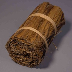 Foglia di Banana arrotolata - 20 Cm / Naturale