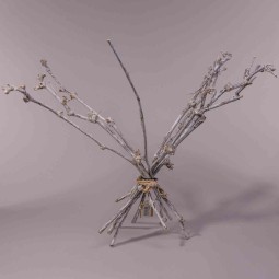 Rametti di Vite 10 Pezzi - 60 Cm / Bianco