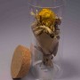 Fiori essiccati in barattolo di vetro - Assortiti