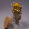 Fiori essiccati in barattolo di vetro - Assortiti
