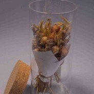 Fiori essiccati in barattolo di vetro - Assortiti